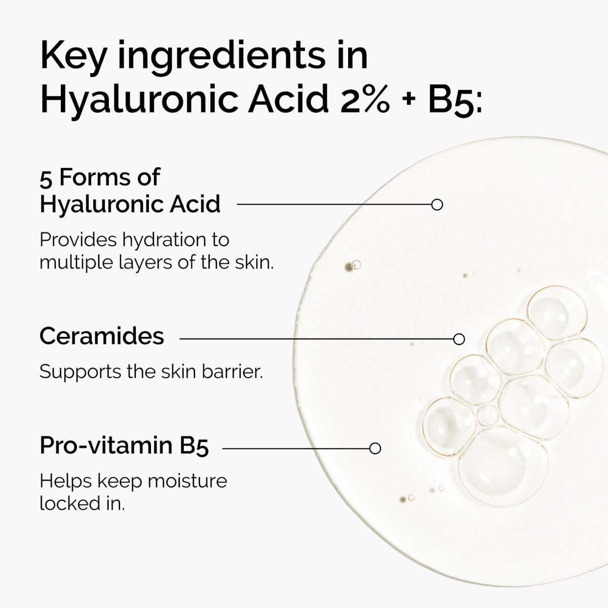 hyaluronic-acid-2-b5-with-ceramides-k8 ord-hyaluronic-acid-2pct-b5-hydrating-serum-ingredients-graphic.jpg